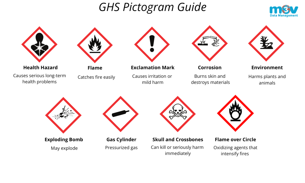 Ghs Health Hazard Pictogram